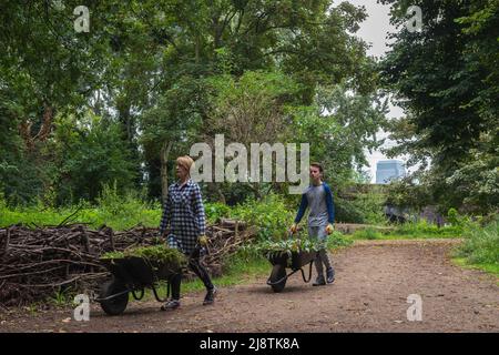 Londres, 23/08/2017: Volontaires de 'The Friends of Tower Hamlets Cemetery Park' nettoyage de la zone. © Andrea Sabbadini Banque D'Images