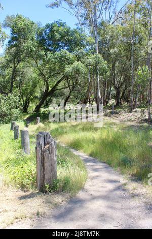 Jack London State Historic Park, Californie Banque D'Images