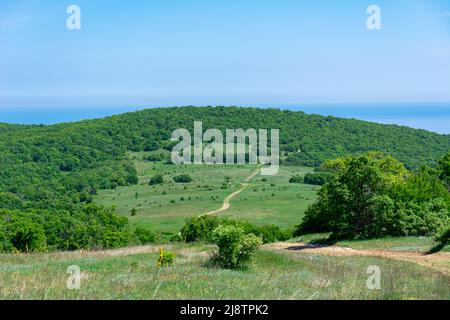 Paysage de montagne le printemps été ensoleillé jour. Vue sur la colline avec arbres verts en croissance, buissons, herbes. La route sinueuse de terre vents à travers la montagne moi Banque D'Images