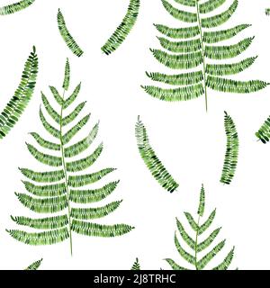 Motif aquarelle sans couture aux branches de fougère. Illustration botanique dessinée à la main. Texture sans fin avec feuillage de fougères sur fond isolé. Feuilles vertes wal Banque D'Images