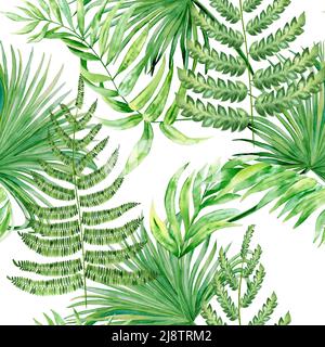 Motif aquarelle sans couture avec feuilles et fougères vertes tropicales. Feuillage de palmier de jungle dessiné à la main isolé sur fond blanc. Toile de fond exotique. Été Banque D'Images