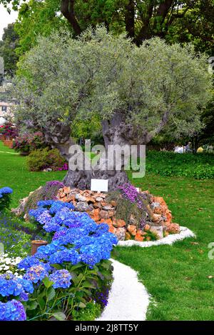 euroflora nervi parcs, jardin de fleurs gênes italie Banque D'Images