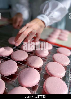 Femme chef à la fabrication de macarons - photo de stock Banque D'Images