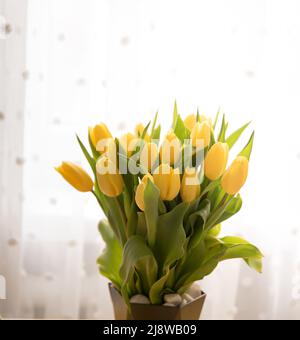 Fleurs à l'intérieur de la salle de séjour. Bouquet de tulipes fraîches sur une table. Des tulipes jaunes sont sur la table près de la fenêtre Banque D'Images