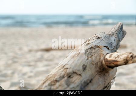 Vieux arbre mort sur plage de sable noir, plage de Nang Thong à Khao Lak, Thaïlande, nature et environnement concept fond. Vieux arbre au bord de la mer Banque D'Images