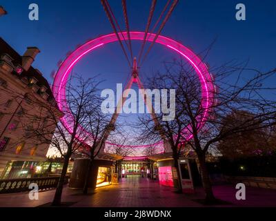 Le London Eye, illuminé de lumières roses, vu de la promenade de la Reine la nuit. Londres. Banque D'Images