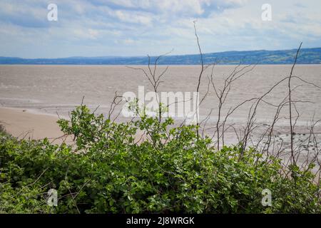 Vue sur l'estuaire de la Dee en direction du pays de Galles, avec plage de sable, marée et verdure Banque D'Images