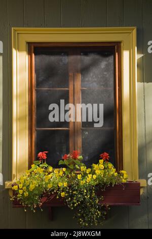 Gros plan d'une fenêtre en verre et d'une boîte à fleurs avec des fleurs jaunes et rouges sur la façade de l'ancienne maison en bois datant de 1840 environ en été. Banque D'Images