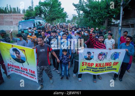 Srinagar, Inde. 17th mai 2022. Les Hindous de Kashmiri, connus localement sous le nom de « pandas », brandissent des bannières alors qu'ils crient des slogans lors de la manifestation à Budgam contre le meurtre de Rahul Bhat, un employé du gouvernement qui a été tué par balle par des rebelles présumés dans son bureau de Chadoora Budgam. Alors que les autorités indiennes ont assuré à la communauté de Kashmiri Pandit que tous les problèmes liés à l'emploi et à la sécurité seront résolus dans une semaine, la communauté exige un transfert de la région du Cachemire le plus tôt possible, en disant qu'ils ne peuvent pas risquer leur vie pour un emploi. Crédit : SOPA Images Limited/Alamy Live News Banque D'Images