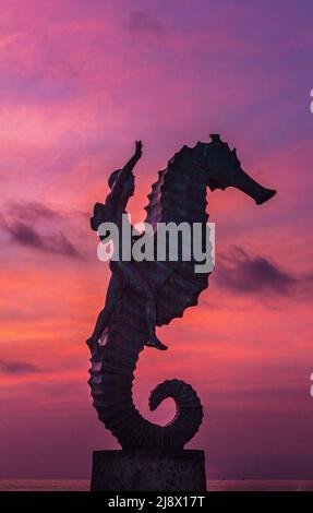 Garçon sur l'hippocampe, Puerto Vallarta, Mexique Banque D'Images