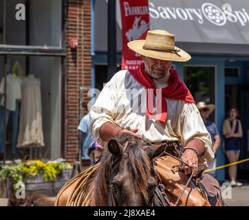 Cow-boy sur un cheval dans le Franklin Rodeo Parade Banque D'Images