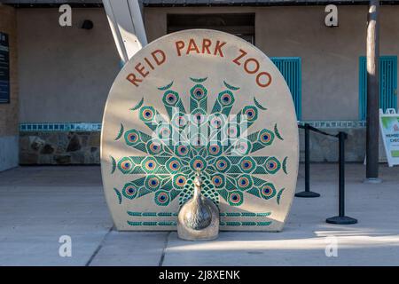 Tucson, Arizona, États-Unis - 8 novembre 2021 : le zoo de Reid Park Banque D'Images