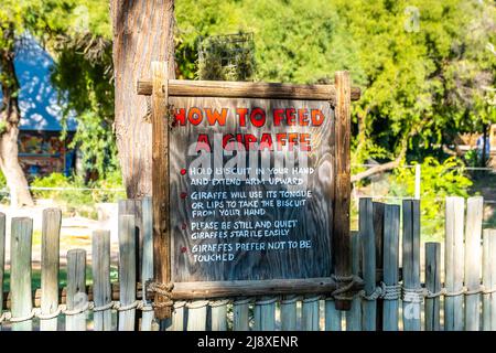 Tucson, Arizona, États-Unis - 8 novembre 2021 : le zoo de Reid Park Banque D'Images