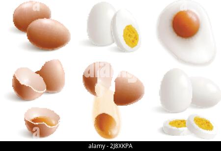 Œufs de poule isolés icône réaliste avec œufs cuits à la coque illustration du vecteur coquille d'œuf et jaune Illustration de Vecteur
