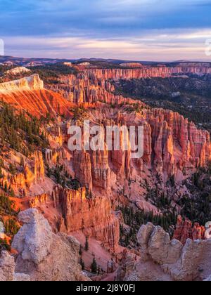 Une longue ligne de falaises roses et de hoodoos vus de Rainbow point dans le parc national de Bryce Canyon, à Tropic, Utah. Banque D'Images