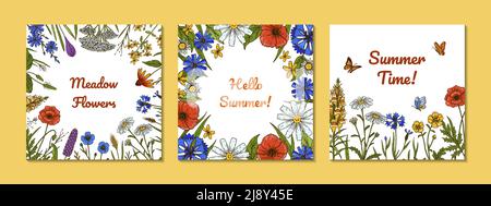 Ensemble de jolis motifs botyques avec fleurs de champ et papillons. Illustration vectorielle colorée dessinée à la main. Arrière-plan d'été