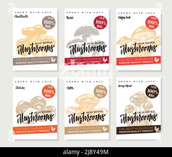 Affiches d'aliments biologiques naturels avec différents types de produits comestibles champignons de couleur dans une illustration vectorielle de style esquisse Illustration de Vecteur
