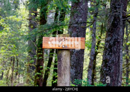 Un panneau en bois indiquant Eagle Creek Trail dans la zone panoramique nationale de Columbia River gorge, Oregon. Banque D'Images