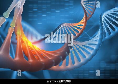 Illustration DNA 3D. Décodage de la séquence génomique. Études scientifiques de la structure de la molécule d'ADN. Décomposition de l'hélice. Design moderne et épuré Banque D'Images