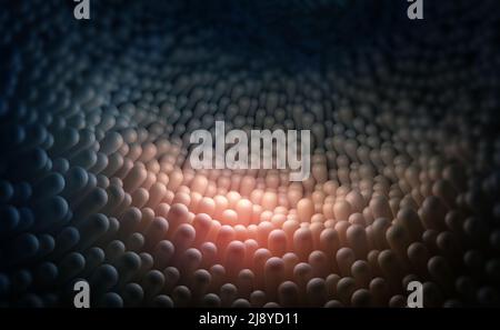 Intestins humains, muqueuses, villosités intestinales sous microscope 3D illustration Banque D'Images