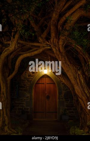 Église Sainte-Marie, Thornthwaite, Lake District. Arbres formant une arche naturelle devant la porte d'entrée d'une église voûtée. Banque D'Images