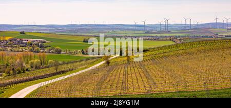 Papier peint panorama d'une région rurale avec vignobles et de nombreuses éoliennes en Allemagne Banque D'Images