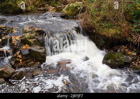 Rivière Radau à la vallée de Radau, Harz Banque D'Images