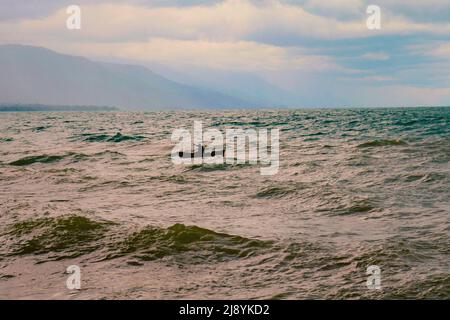 Un pêcheur à la plage de Matema, le lac Nyasa contre un coucher de soleil doré, Tanzanie Banque D'Images