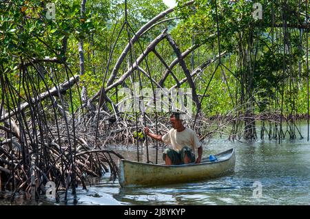 Forêt tropicale, mangroves. Écotourisme. Parc national de Los Haitises, Sabana de la Mar, République dominicaine. Le parc national de Los Haitises est un parc national lo Banque D'Images