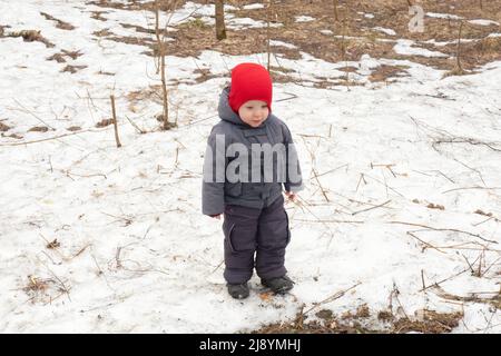 Petit enfant en casquette rouge et vêtements gris debout dans la forêt printanière Banque D'Images