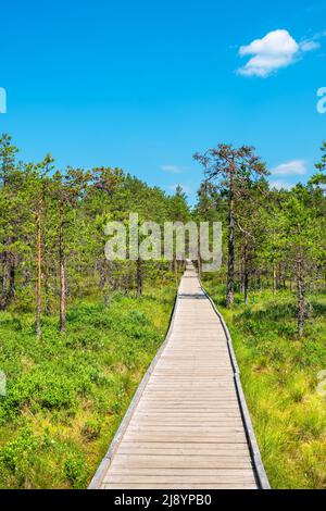 Paysage naturel de Viru Bog (Viru raba) avec promenade en bois. Parc national de Lahemaa, Estonie Banque D'Images