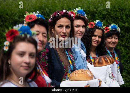 Kristina Korniiuk, 34 ans, (troisième à droite), originaire de Kiev et qui a fui l'Ukraine après l'invasion russe, marque la célébration ukrainienne de la Journée Vyshyvanka avec une chemise traditionnelle géante et une coiffe florale, à la maison de son hôte, Rend Platings, à Cambridge. Date de la photo: Jeudi 19 mai 2022. Banque D'Images