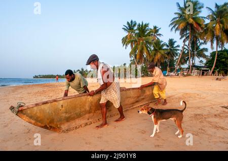 Pêcheurs locaux à Las Terrenas Beach, Samana, République dominicaine, Caraïbes, Amérique. Plage tropicale des Caraïbes avec palmiers à noix de coco. Ce blanc-san Banque D'Images