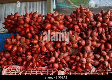 Tas de fruits mûrs zalacca sur le marché Banque D'Images