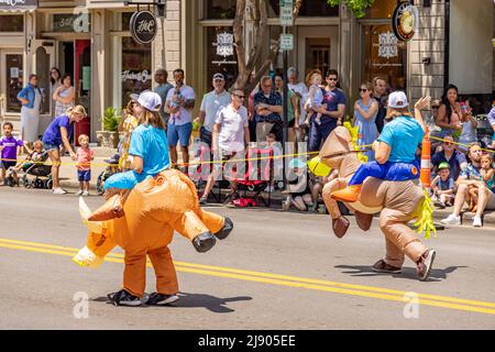 Deux femmes en costumes de vache à coup de souffle dans le Franklin Rodeo Parade Banque D'Images