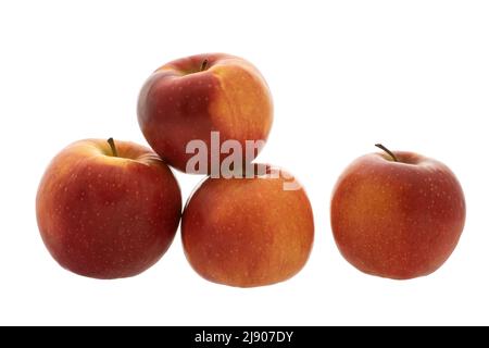 Image des fruits quatre pommes mûres rouges sur fond blanc Banque D'Images