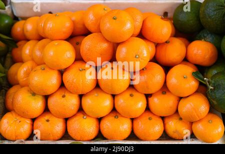 Beaucoup de fruits orange vif à vendre sur le marché Banque D'Images