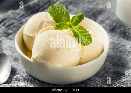 Crème glacée à la vanille maison prête à manger Banque D'Images