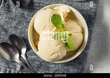 Crème glacée à la vanille maison prête à manger Banque D'Images