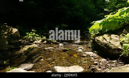 Rivière de montagne parmi de grandes pierres dans une forêt verte avec de petites cascades.Sotchi, Lazarevskoe, Berendeevo Tsarstvo, Russie Banque D'Images