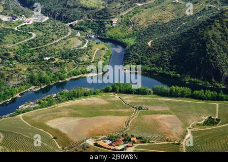 Paysage du Parc International du Douro, fleuve Douro dans le nord du Portugal. Banque D'Images