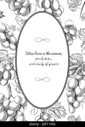 Cadre ovale avec grappes de raisin, y compris baies, fleurs et autres éléments décoratifs dessin à la main dessin vectoriel illustration Illustration de Vecteur