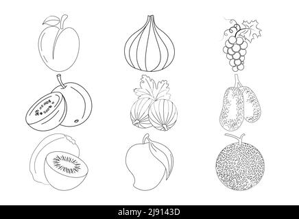 Illustration vectorielle des pages de coloriage des fruits sur fond blanc, livre de coloriage des enfants Illustration de Vecteur