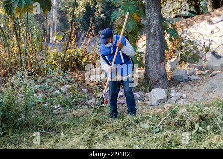 Les voisins effectuent une journée de nettoyage dans un ravin de la ville de Puebla Banque D'Images