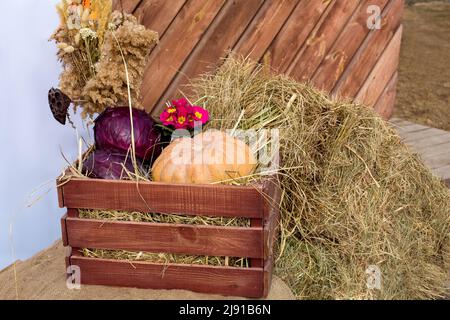 boîte en bois faite de planches brunes remplies d'herbe sèche pour la vente de culture écologique de récolte de légumes bio citrouilles et de chou sur le comptoir de r Banque D'Images