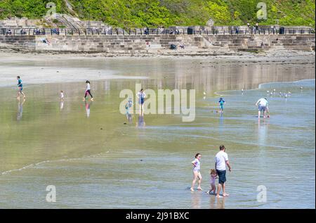 Looe, Cornwall, Royaume-Uni. 19th mai 2022. Météo au Royaume-Uni : un soleil magnifique et un ciel bleu à la station balnéaire de Looe à Cornish cet après-midi. La jolie ville côtière avait l'air parfaite par temps ensoleillé. Credit: Celia McMahon/Alamy Live News Banque D'Images