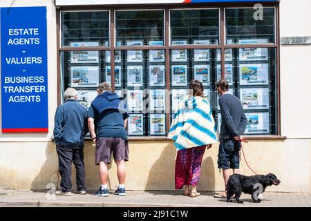 Looe, Cornwall, Royaume-Uni. 19th mai 2022. Météo au Royaume-Uni : un soleil magnifique et un ciel bleu à la station balnéaire de Looe à Cornish cet après-midi. Les visiteurs visitent le marché de l'établissement dans la fenêtre d'un agent immobilier local. Credit: Celia McMahon/Alamy Live News Banque D'Images