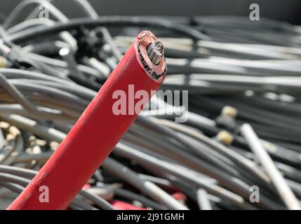 Câble électrique en cuivre rouge inutilisé pour l'électricité haute tension dans l'installation de recyclage jusqu'à la collecte séparée Banque D'Images