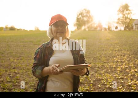 Une femme agriculteur se tient dans un champ de blé au coucher du soleil et travaille avec une tablette numérique. Banque D'Images