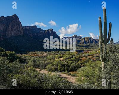 Le site de loisirs Water Users Recreation, au nord-est de Phoenix, en Arizona, est magnifique et robuste Banque D'Images